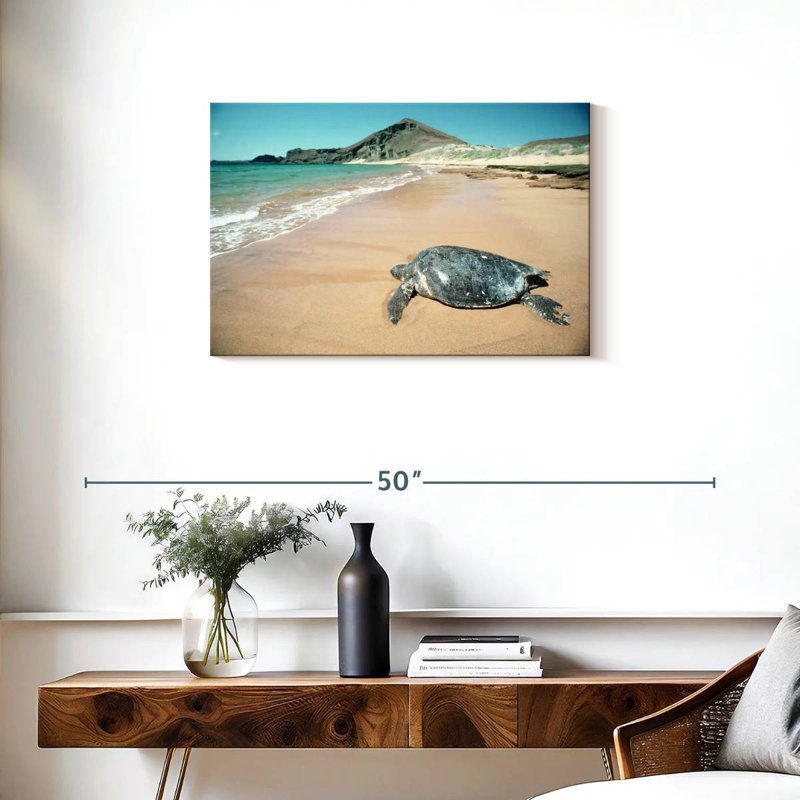 Brampt Galapagos Loggerhead Turtle, 20" H x 30" W