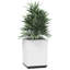 Jardinière surélevée en polypropylène 2 / 4x-889840627-900487105