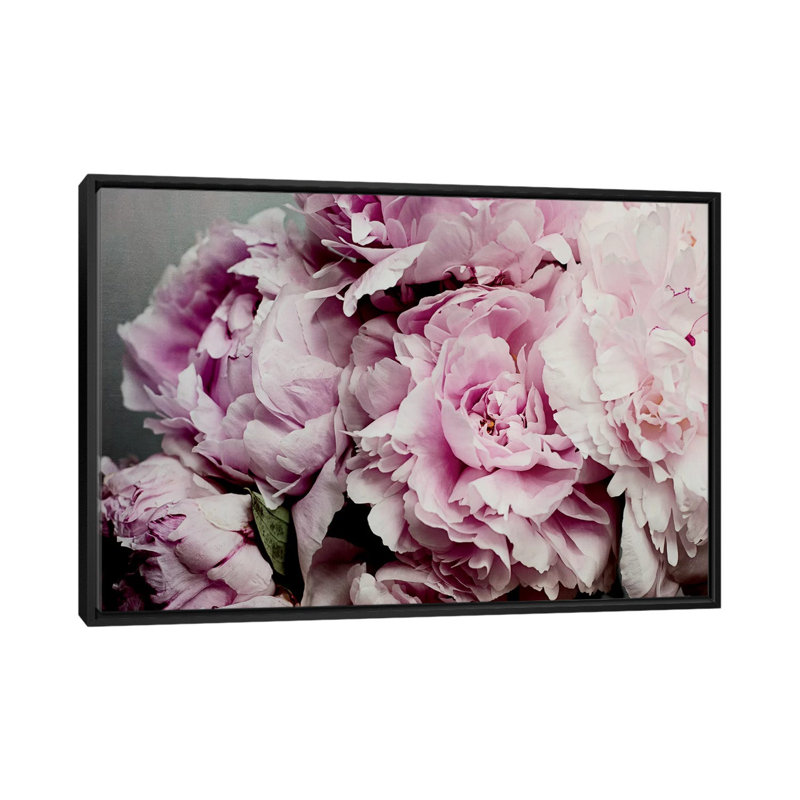Pe pivoines Galore II par Elizabeth Urquhart - photographie sur toile, H 32 po x l 48 po x P 1,5 po, Toile avec cadre noir