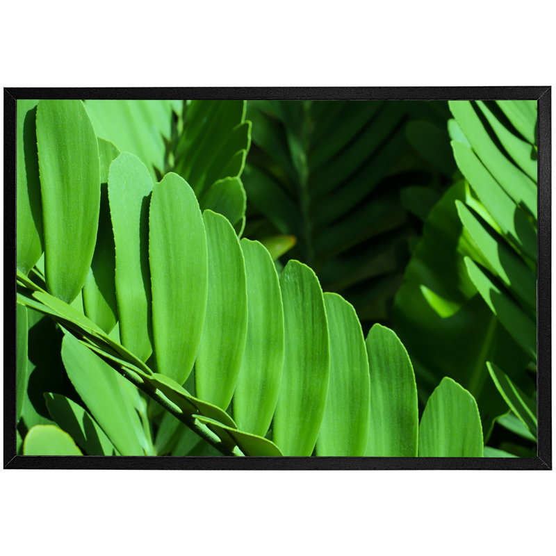 Asharoken Single Picture Frame Print, Black Framed, 76cm H x 114cm W x 4cm D
