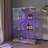 Modern Glass Display Cabinet With LED Lights, Quick-Assembly Antique Cabinet, Tempered Glass Bookshelf, Suitable For Living Room And Bedrooms, 2-Door 3-Shelf, Transparent+White -396385793-396385792