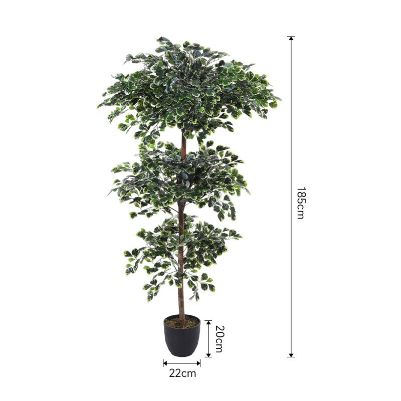 185cm Faux Zamioculcas Tree in Freestanding