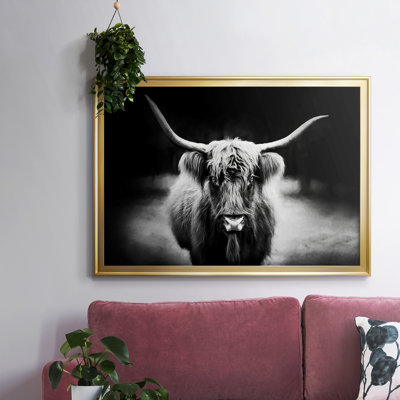 " Photography Study Highland Cattle "