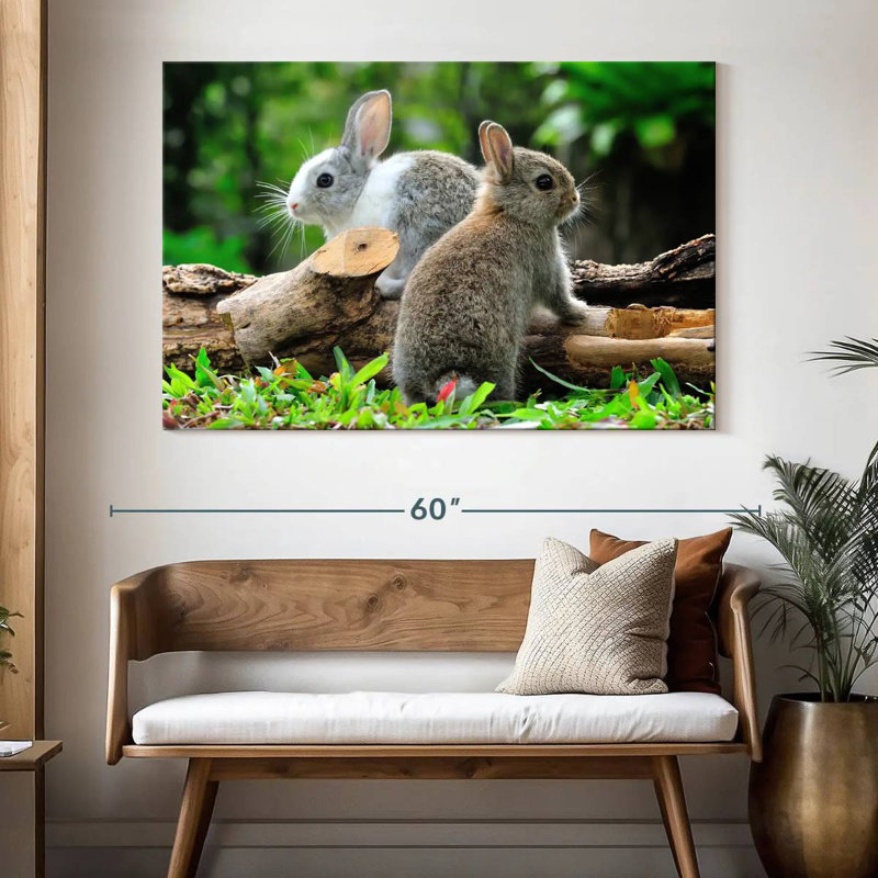 Brampt Garden Rabbits