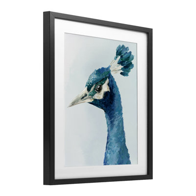 «Vivid Plumage Peacock», reproduction sous verre encadrée, conception par Hannah Dawson