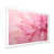 White Single Picture Framed