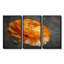 Ensemble de décorations murales orange et noir Ranunculus Bloom I - Ranunculus-107195705-107195697