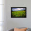 Colorado Flowers by Dan Ballard - Print on Canvas-42155601-89237116