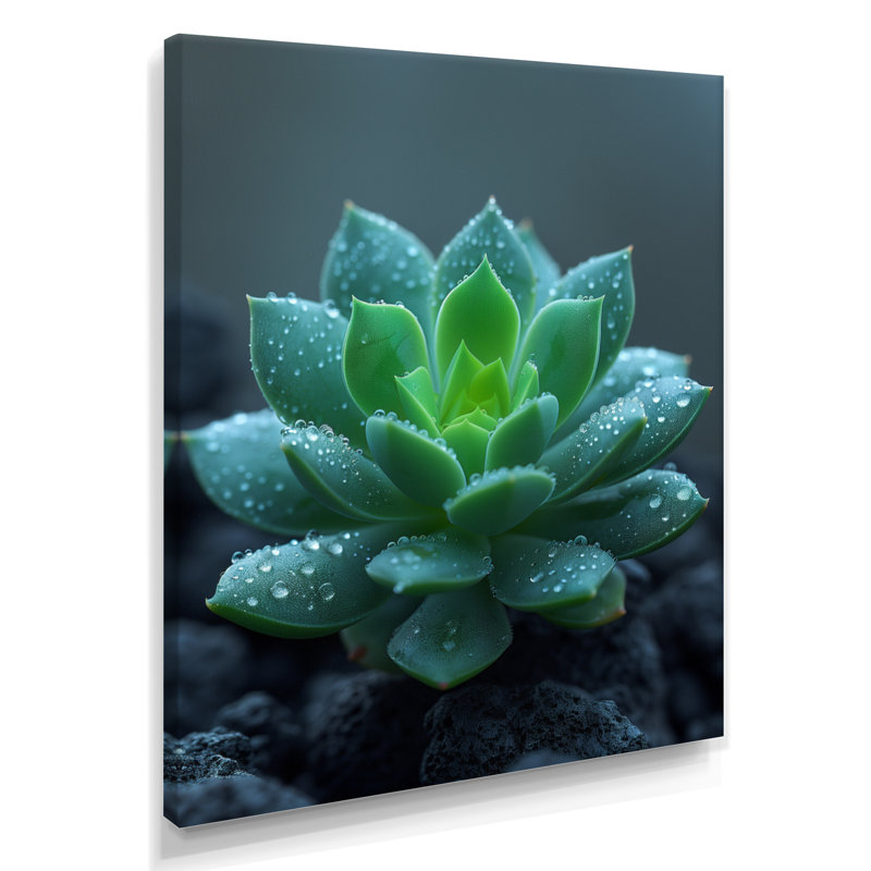 Gouttes de pluie vertes et grises sur un cactus du désert - décoration murale cactus floral, H 32 po x l 16 po x P 1 po