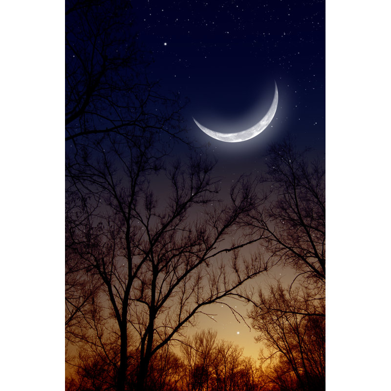Bagwell Night Sky With Moon - Wrapped Canvas Print, 46cm H x 30cm W x 3.8cm D