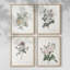 Impression florale rétro CXLIV, ensemble de 4-1069554817-1069554816
