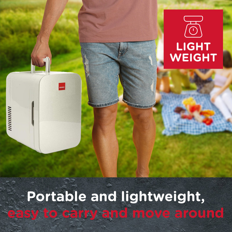 Sensio Home 10L Mini Fridge Portable, Silver