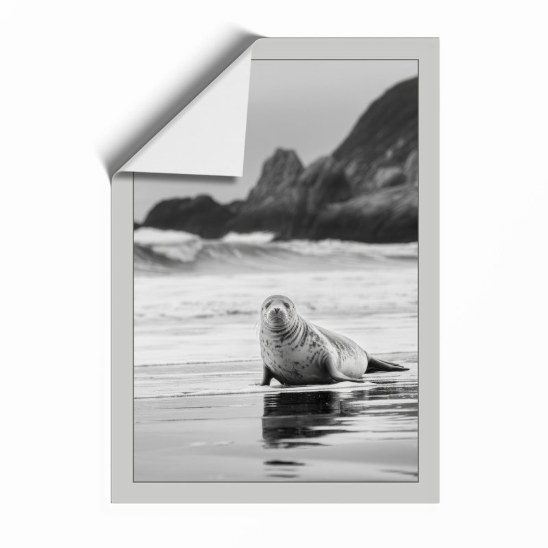 Seal on the Shore Coastal - Framed Print, A2 - 59.4 x 42.0 cm, Unframed