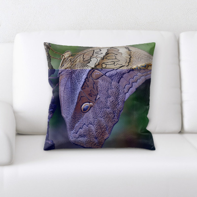 Coussin décoratif papillon