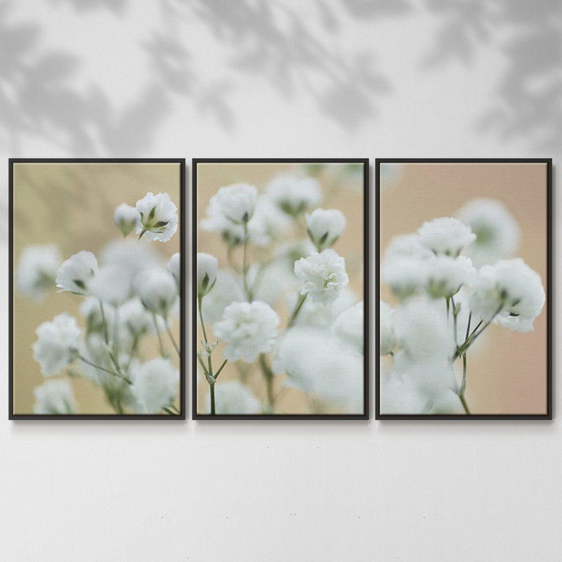 Baby's Breath Study II - Toile encadrée multi-pièces, H 24 po x l 48 po x P 2 po, Noir