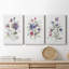 «Color Variety I», ensemble de 3 impressions sur toiles tendues-1256685436