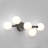 Bloom Modern Vanity Light, Black