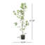 ARBRE À PIERIS 120CMTIFTIFS-1859716857