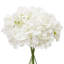 Polyethylene (PE) Hydrangea Arrangement