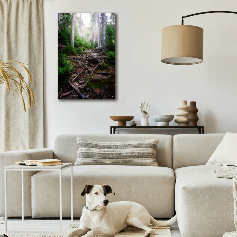 Art mural en verre Ebern Designs «The Forest Gates» par Rick Berk, H 36 po x l 24 po x P 0,2 po