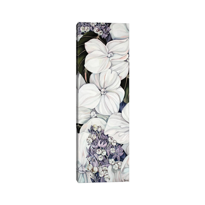 Hydrangea by Jo Beer - Wrapped Canvas Panoramic Print, 30.48 cm H x 91.44 cm W x 3.175 cm D