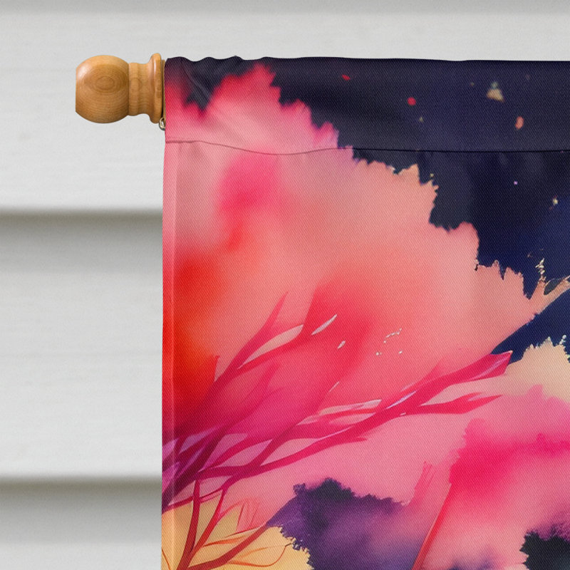 Double Sided 40'' H x 28'' W Polyester House Flag