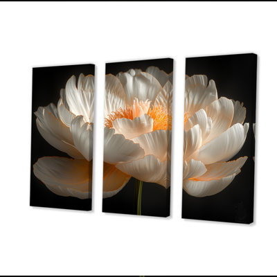 Riveria - Peonies Wall Art Print Set