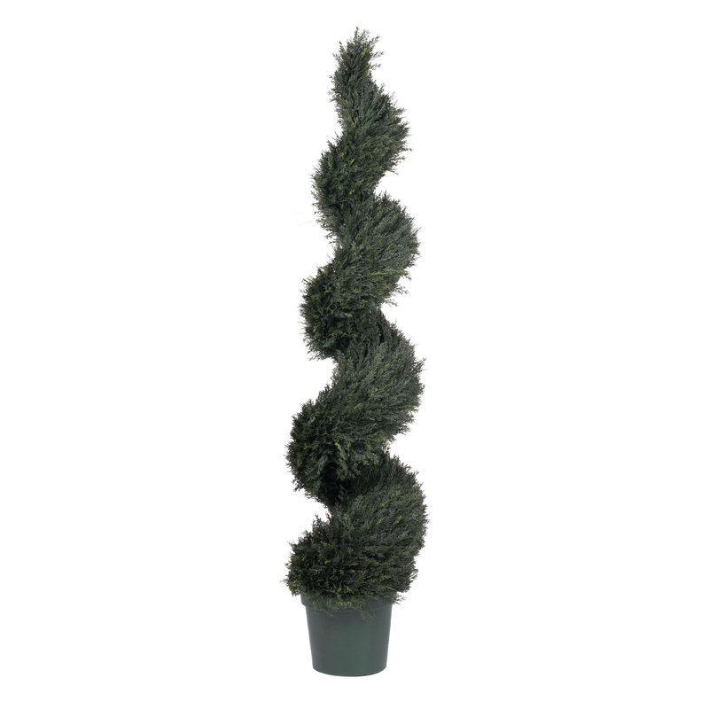 Topiaire cypress de plancher uv pond