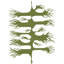 Wild Root Print by Trish Sierer-65826232-65851887