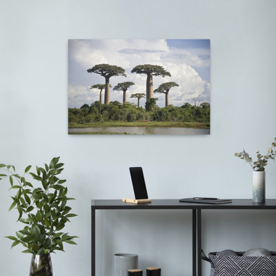 Baobab arbres à l'avenue des Baobabs, Morondava, Madagascar, art abstrait de paysage forestier contemporain