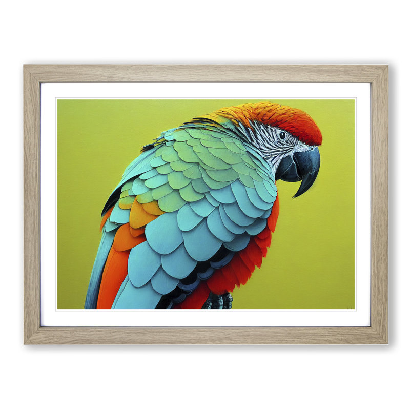 Colourful Parrot Vol.2 - Single Picture Frame Print, 25cm H x 34cm W x 2cm D, Oak Framed