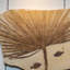 Giant Palm Frond With Diplomytus Fish Fossil Plate