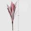 Gladiola Arrangement