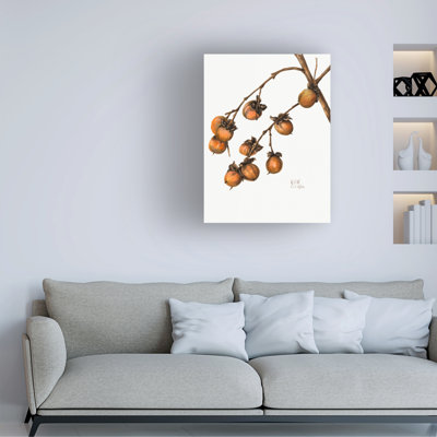 Mary Vaux Walcott Persimmon Canvas Art