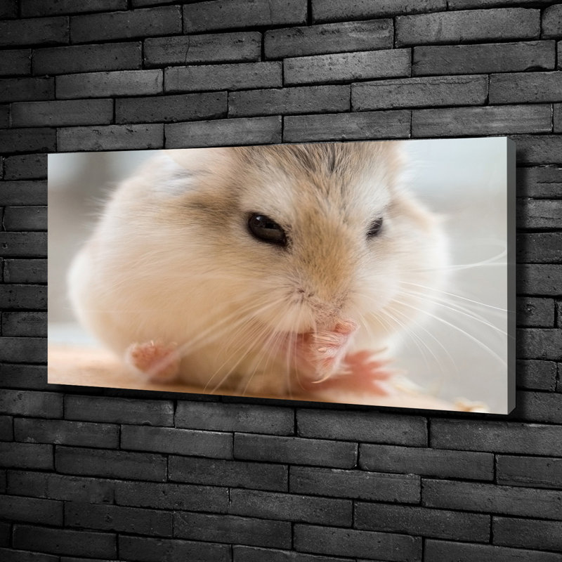 Hamster - No Frame Print on Canvas