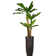 Panama 60" Artificial Banana Leaf Tree in Planter