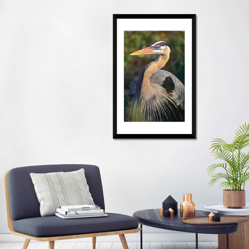 «Great Heron, North America», impression sur toile, H 24 po x l 16 po x P 1 po, Papier d'art encadré noir, Blanc