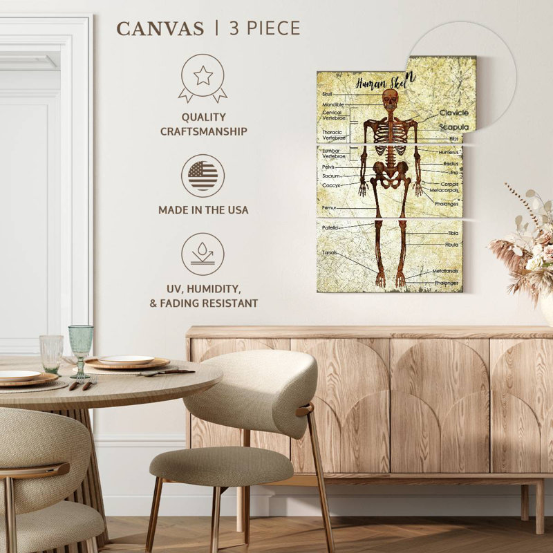 Keiri Human Skeleton Chart, 38" H x 24" W