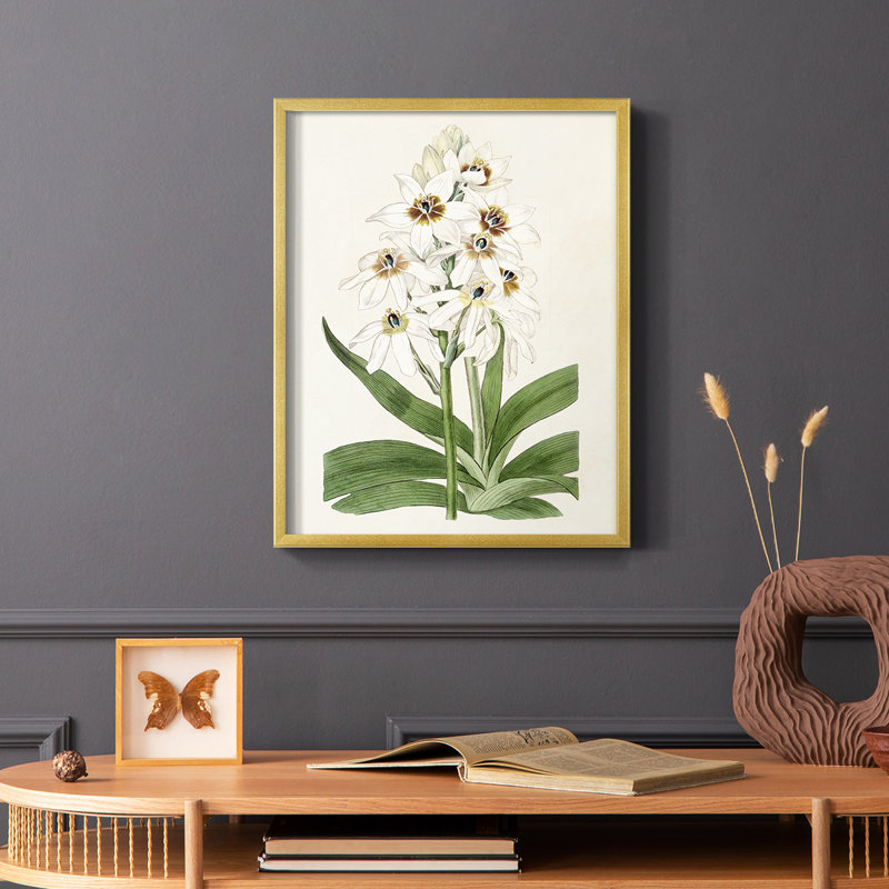 «Flore Albo I», reproduction encadrée - bois massif, Or, H 10 po x l 8 po