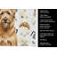 Torchon Tawny Briard-1234934574