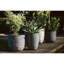 Capi Egg Planter Nature Rib-47838404-47838406