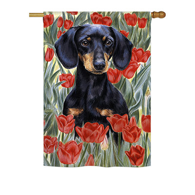 Pappillion Double Sided Polyester Animal