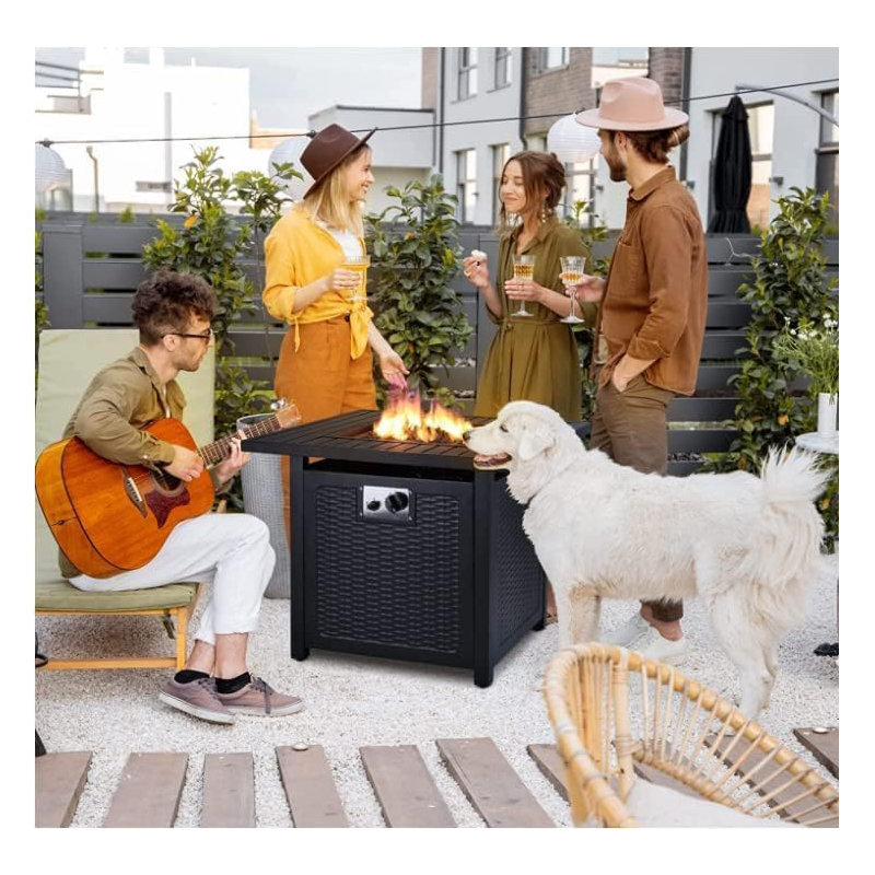 76.2cm W Natural Gas / Propane Fireplace