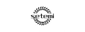 Logo Setemi