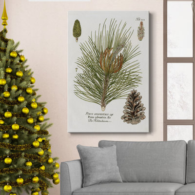 " Botanical Spruce " Painting Print