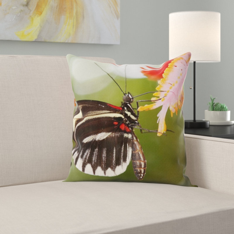 Coussin papilio rumanzovia