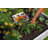 CLASSIC White Vinyl 4x4 Composting Garden