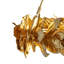 Lustre Laurel - laiton