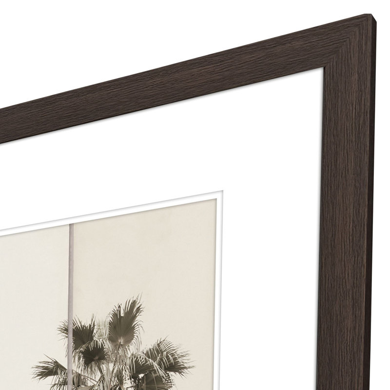 «Paper Palms II», art encadré