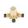 Lexia Pressure Balanced Shower Only Trim Package with Rain Shower Head - Rough In Included